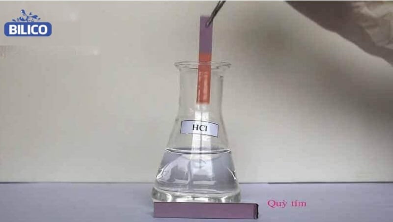 Viết Một Đoạn Văn Khoảng: Bí Quyết Đạt Điểm Cao Môn Văn
