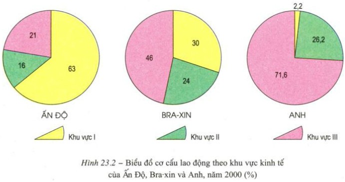 Cơ Cấu Dân Số Theo Trình Độ Văn Hóa Phản Ánh Điều Gì? Cơ Cấu Dân Số Theo Trình Độ Văn Hóa Phản Ánh Điều Gì?