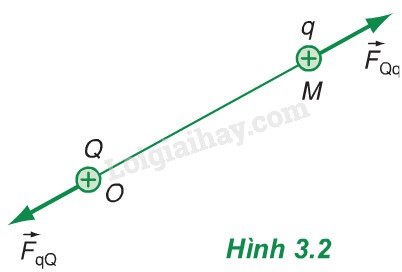 Đặt Điện Tích q Trong Điện Trường Đều E: Lực Điện F Chiều Nào? Đặt Điện Tích q Trong Điện Trường Đều E: Lực Điện F Chiều Nào?