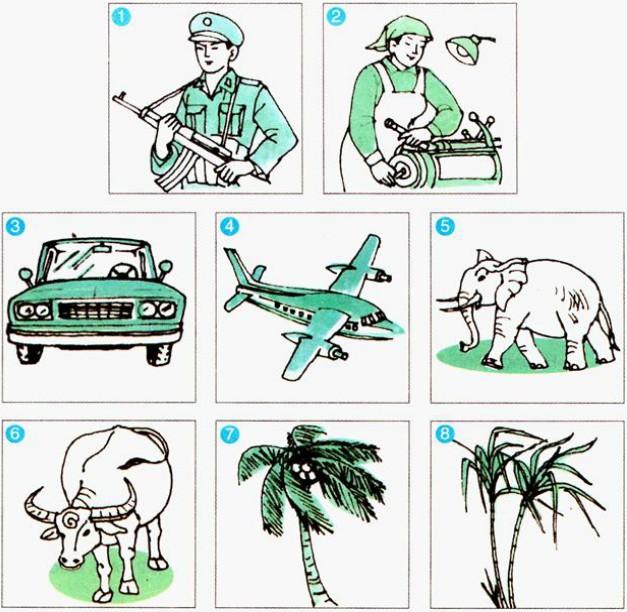 Tìm 10 Từ Chỉ Sự Vật Quanh Ta: Khám Phá Thế Giới Tìm 10 Từ Chỉ Sự Vật Quanh Ta: Khám Phá Thế Giới