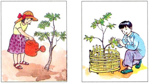 Những Từ Ngữ Miêu Tả Hoa: Tuyệt Chiêu “Thổi Hồn” Cho Câu Văn Những Từ Ngữ Miêu Tả Hoa: Tuyệt Chiêu “Thổi Hồn” Cho Câu Văn
