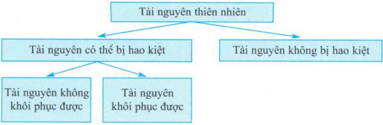Tài Nguyên Không Bị Hao Kiệt Là Gì? Giải Đáp Chi Tiết Tài Nguyên Không Bị Hao Kiệt Là Gì? Giải Đáp Chi Tiết