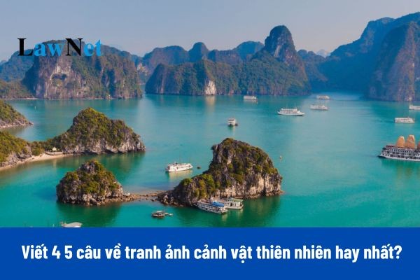 **Viết Đoạn Văn Về Thiên Nhiên Lớp 2 Hay Nhất: 10+ Mẫu Tuyệt Đẹp** **Viết Đoạn Văn Về Thiên Nhiên Lớp 2 Hay Nhất: 10+ Mẫu Tuyệt Đẹp**