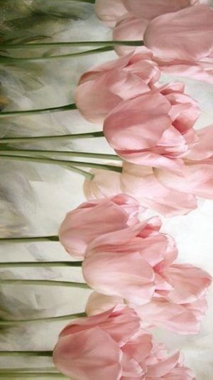 Hình nền hoa tulip vẽ phong cách hiện đại cho máy tính