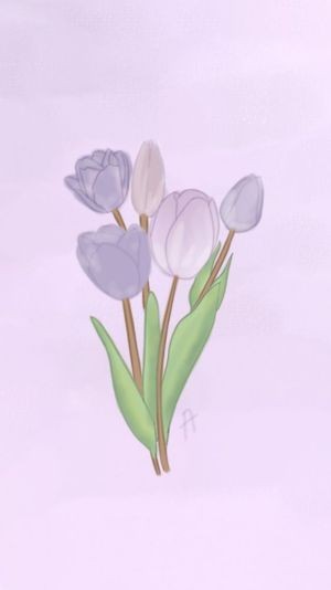 Hình Nền Hoa Tulip Vẽ: Tuyển Chọn Đẹp Nhất, Tối Ưu Cho Điện Thoại & Máy Tính Hình Nền Hoa Tulip Vẽ: Tuyển Chọn Đẹp Nhất, Tối Ưu Cho Điện Thoại & Máy Tính