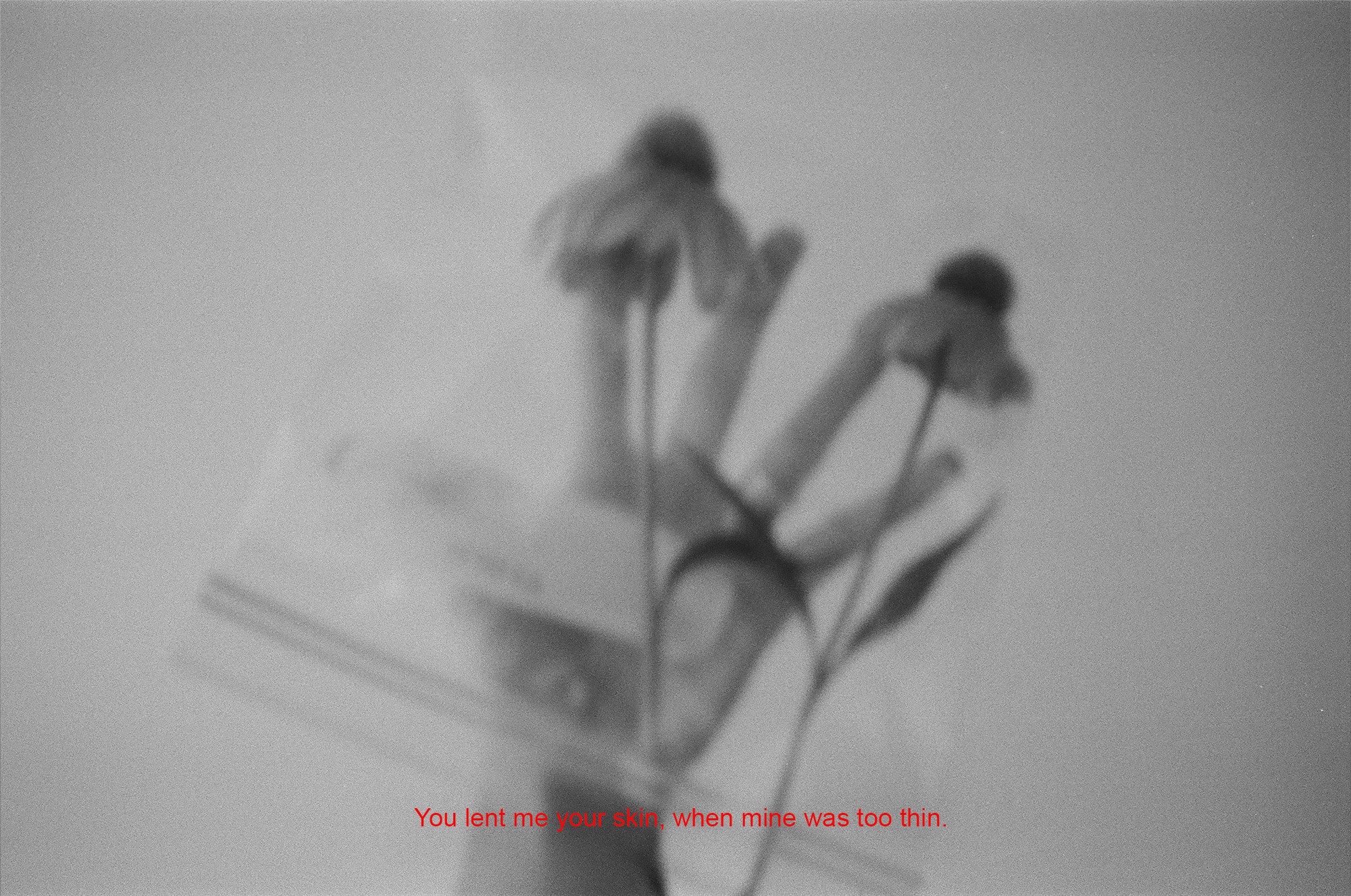 “I Read The Book You Lent Me”: Cảm Nhận Và Suy Ngẫm Sau Khi Đọc “I Read The Book You Lent Me”: Cảm Nhận Và Suy Ngẫm Sau Khi Đọc