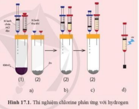 Đâu Là Mô Tả Đúng Về Đơn Chất Halogen F2? Giải Đáp Chi Tiết Đâu Là Mô Tả Đúng Về Đơn Chất Halogen F2? Giải Đáp Chi Tiết