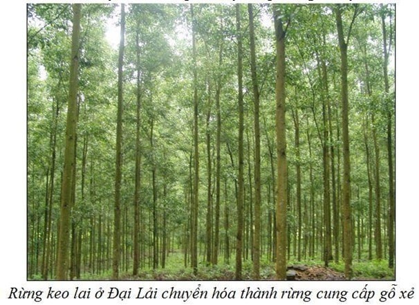 Một Lực Không Đổi Tác Dụng Vào Vật 5kg Gây Ra Điều Gì? Giải Thích Chi Tiết