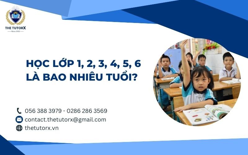 Lớp 3 Mấy Tuổi? Giải Đáp Chi Tiết & Cập Nhật Mới Nhất Lớp 3 Mấy Tuổi? Giải Đáp Chi Tiết & Cập Nhật Mới Nhất