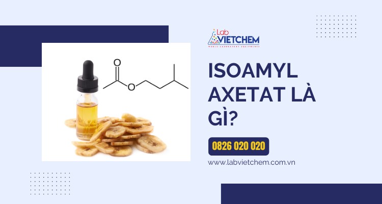 Isoamyl Axetat Là Gì? Ứng Dụng, Điều Chế & Lưu Ý Quan Trọng