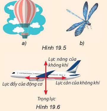 **Lực Nâng Là Gì? Giải Thích Chi Tiết Từ A Đến Z** **Lực Nâng Là Gì? Giải Thích Chi Tiết Từ A Đến Z**