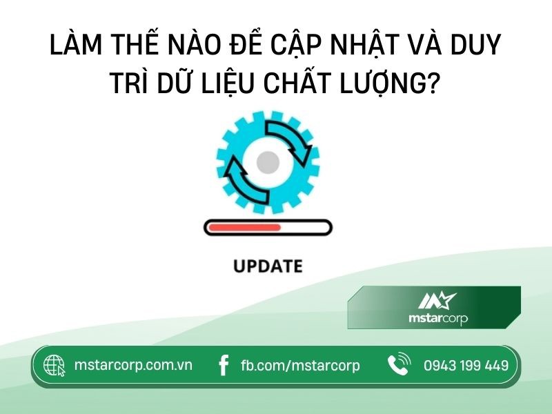 Nguyên Liệu Quang Hợp Là Gì? Vai Trò Và Các Yếu Tố Ảnh Hưởng