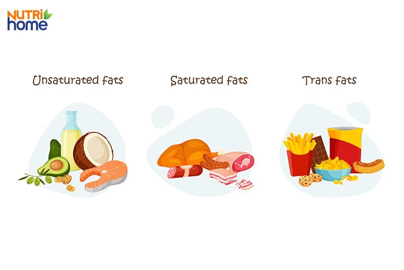 Vật Nào Sau Đây Có Cấu Tạo Từ Tế Bào? Giải Đáp Chi Tiết
