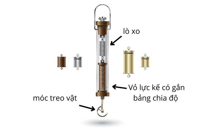 Ô Tô 5 Tấn Đi Qua Cầu Vồng: Áp Lực Nén Lên Cầu Là Bao Nhiêu?