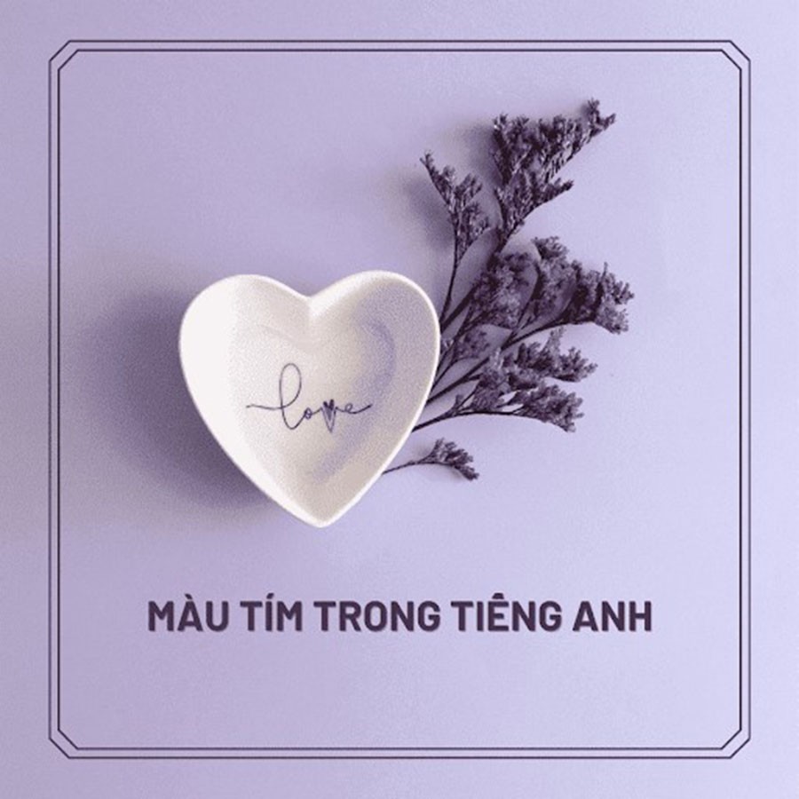 Màu Tím Đọc Tiếng Anh Là Gì? Khám Phá Thế Giới Sắc Tím Phong Phú Màu Tím Đọc Tiếng Anh Là Gì? Khám Phá Thế Giới Sắc Tím Phong Phú