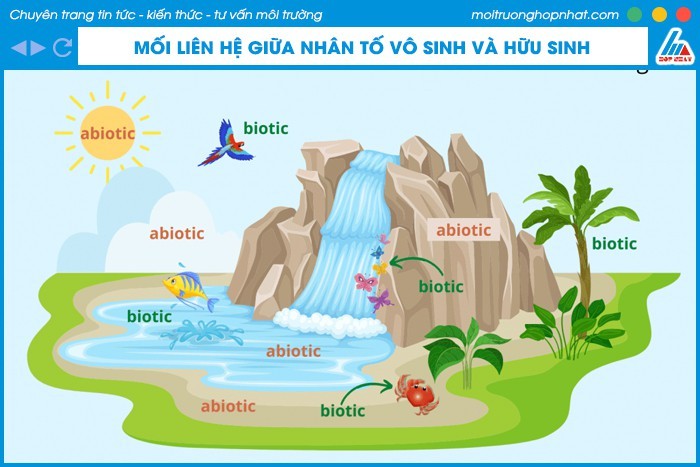 The Picnic Has Been: Câu Chuyện Về Bàn Ăn &amp; Tinh Thần Cộng Đồng?