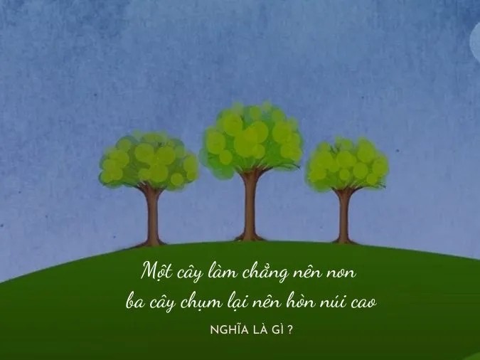 Một Cây Làm Chẳng Nên Non Ba Cây Chụm Lại Nên Hòn Núi Cao? Một Cây Làm Chẳng Nên Non Ba Cây Chụm Lại Nên Hòn Núi Cao?
