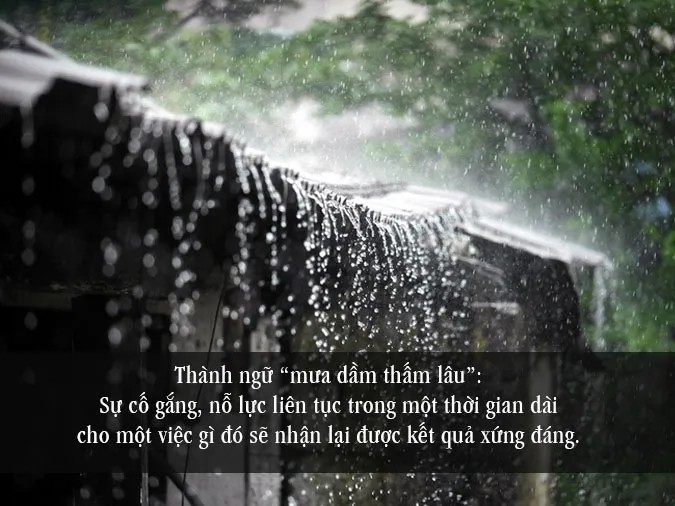**Mưa Dầm Thấm Lâu Là Gì? Ý Nghĩa Và Cách Dùng Chuẩn Nhất** **Mưa Dầm Thấm Lâu Là Gì? Ý Nghĩa Và Cách Dùng Chuẩn Nhất**