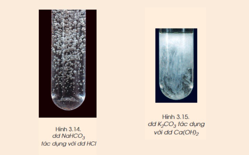 Muối Carbonate Là Gì? Phân Loại, Tính Chất, Ứng Dụng & Bài Tập Muối Carbonate Là Gì? Phân Loại, Tính Chất, Ứng Dụng & Bài Tập