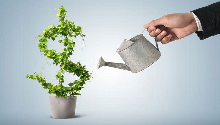 Bản Thân Em Cần Làm Gì Để Bảo Vệ Môi Trường: Hành Động Thiết Thực