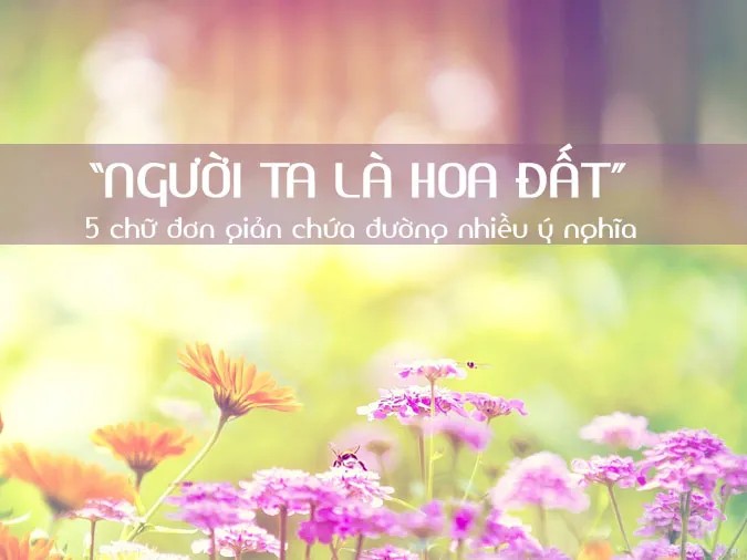 Câu Tục Ngữ “Người Ta Là Hoa Đất” Ca Ngợi Điều Gì Sâu Sắc? Câu Tục Ngữ “Người Ta Là Hoa Đất” Ca Ngợi Điều Gì Sâu Sắc?