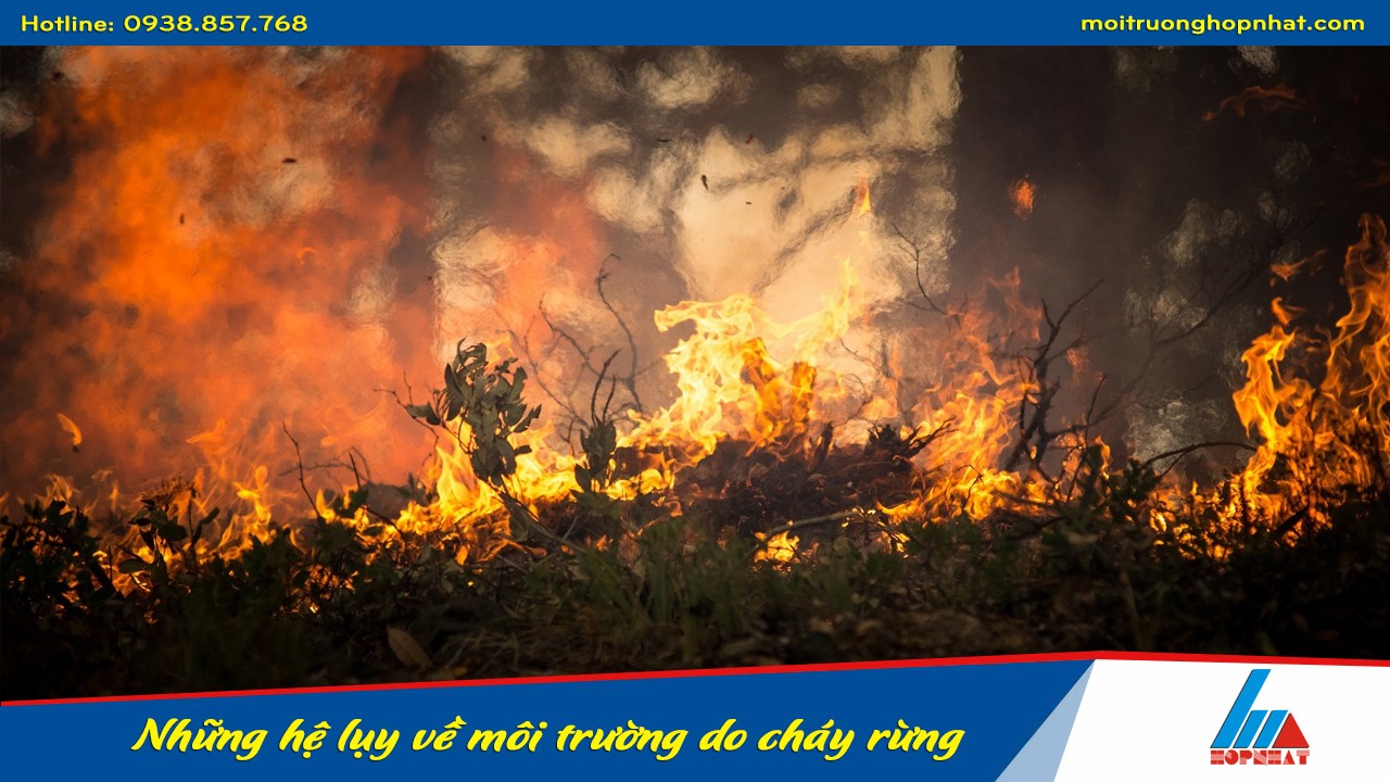 Hậu Quả Của Cháy Rừng: Nguyên Nhân, Tác Động Và Giải Pháp Hậu Quả Của Cháy Rừng: Nguyên Nhân, Tác Động Và Giải Pháp
