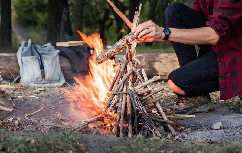 Cơ Quan Quang Hợp Chính Của Thực Vật Là Gì? Học Sinh Cần Biết?