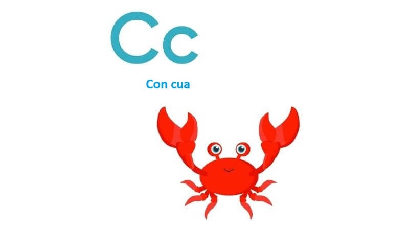 Con Vật Có Chữ C: Khám Phá Thế Giới Động Vật Thú Vị Nhất! Con Vật Có Chữ C: Khám Phá Thế Giới Động Vật Thú Vị Nhất!