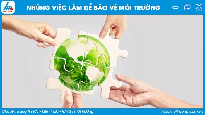 **Tại Sao Có Các Khảo Sát Ở Nhiều Quốc Gia Về Tổn Thất Đàn Ong?**