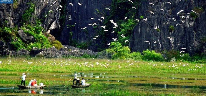 Để Giữ Gìn và Phát Huy Truyền Thống Quê Hương, Cần Lên Án Hành Vi Nào?
