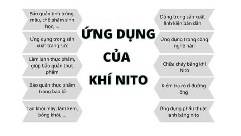 **Những Câu Chuyện Ngắn Về Mái Trường Tiểu Học: Kỷ Niệm Tuổi Thơ Tuyệt Đẹp?**