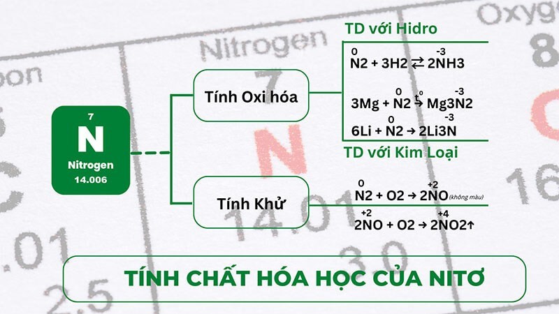 **Những Câu Chuyện Ngắn Về Mái Trường Tiểu Học: Kỷ Niệm Tuổi Thơ Tuyệt Đẹp?**