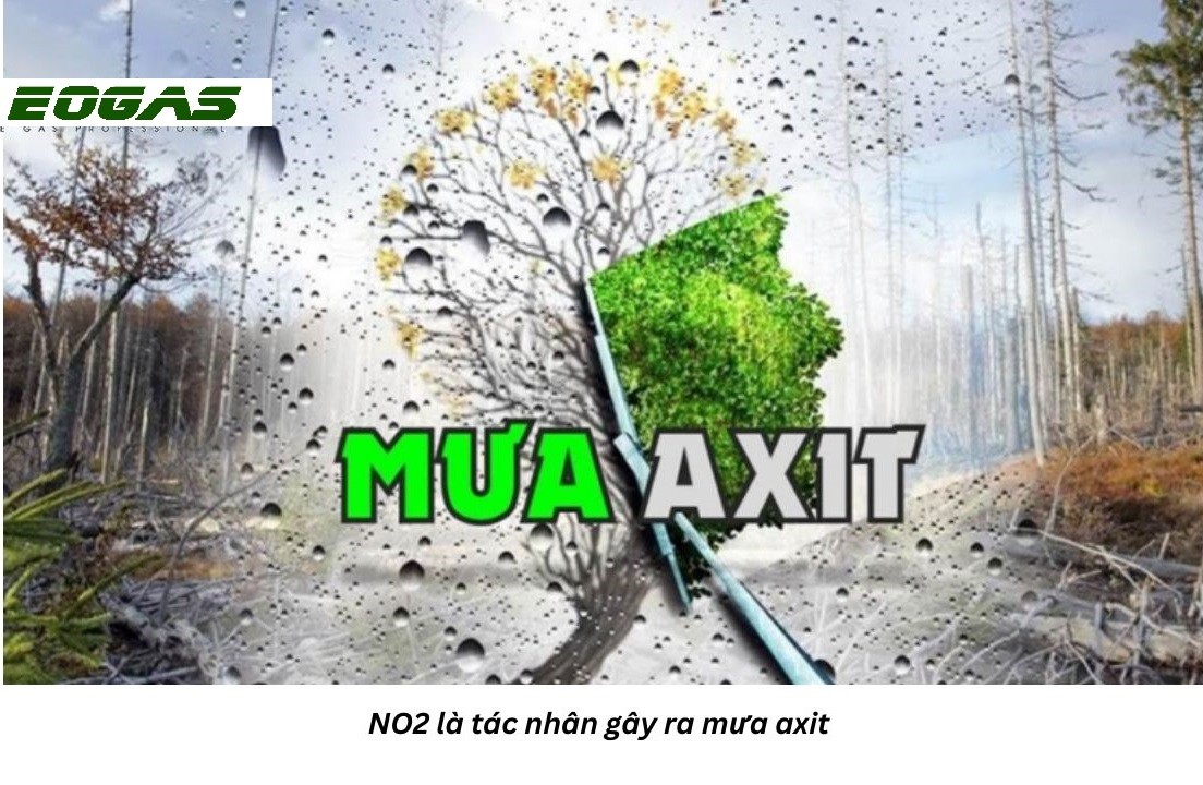 Ý Nào Sau Đây Thể Hiện Đúng Đặc Điểm Nền Văn Minh Chăm Pa?