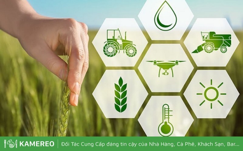 Người Làm Việc Trong Nhà Trồng Trọt Là Ai? Cần Những Gì?