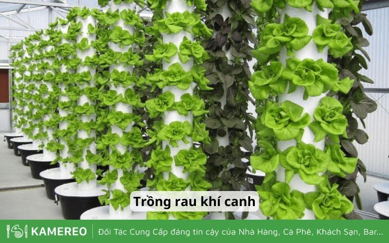 Người Làm Việc Trong Nhà Trồng Trọt Là Ai? Cần Những Gì?
