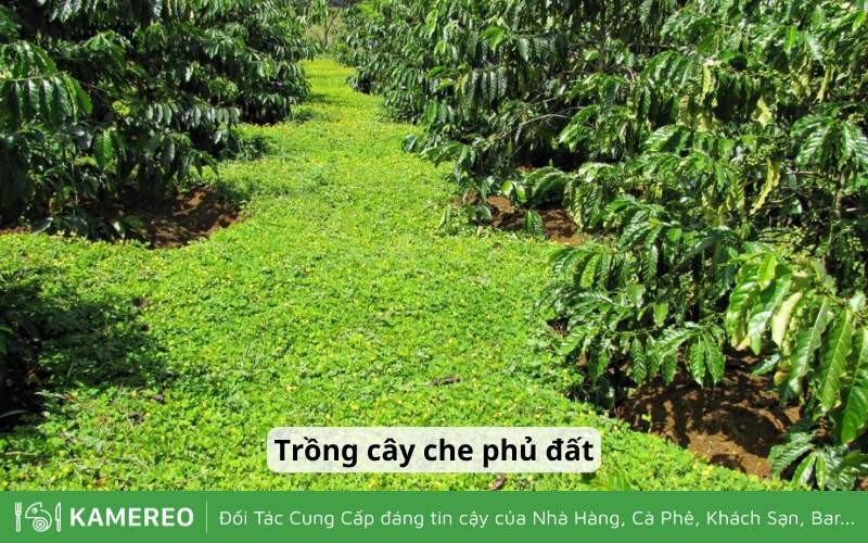 Người Làm Việc Trong Nhà Trồng Trọt Là Ai? Cần Những Gì?