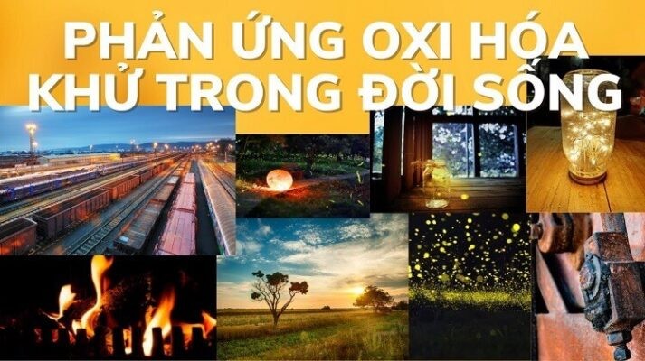 Mẹ Là Ngọn Gió Của Con Suốt Đời: Ý Nghĩa Cao Đẹp Về Tình Mẫu Tử