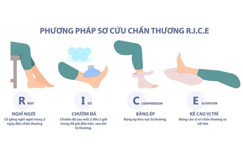 Miêu Tả Ngôi Nhà Của Em Lớp 3: Bài Văn Hay Đạt Điểm Cao