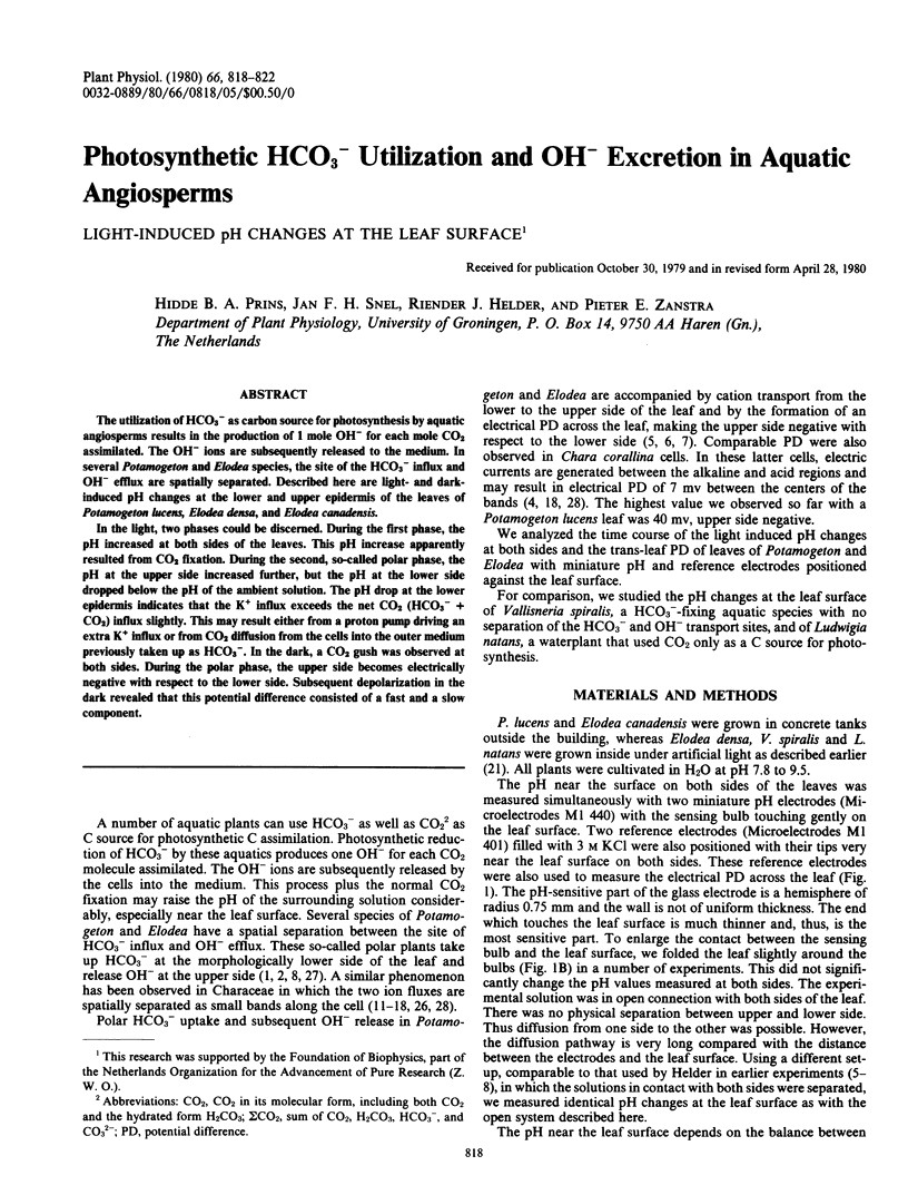 OH- + HCO3-: Ảnh Hưởng Đến pH Trong Quá Trình Quang Hợp Của Thực Vật Thủy Sinh? OH- + HCO3-: Ảnh Hưởng Đến pH Trong Quá Trình Quang Hợp Của Thực Vật Thủy Sinh?