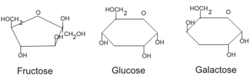 Điều Nào Dưới Đây Không Đúng Về Sự Giống Nhau Giữa Đường Và Lipid? Điều Nào Dưới Đây Không Đúng Về Sự Giống Nhau Giữa Đường Và Lipid?