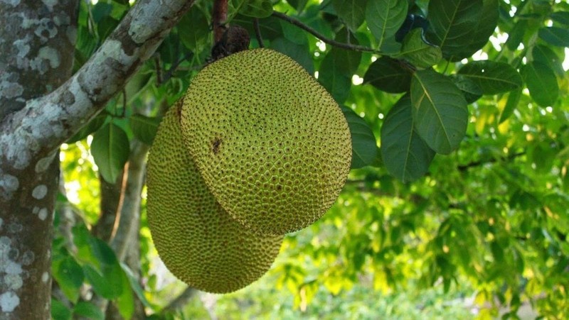Đặt Câu Có Sử Dụng Biện Pháp So Sánh: Hướng Dẫn Chi Tiết A-Z