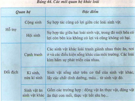 Các Sinh Vật Khác Loài Có Những Mối Quan Hệ Nào Trong Tự Nhiên? Các Sinh Vật Khác Loài Có Những Mối Quan Hệ Nào Trong Tự Nhiên?