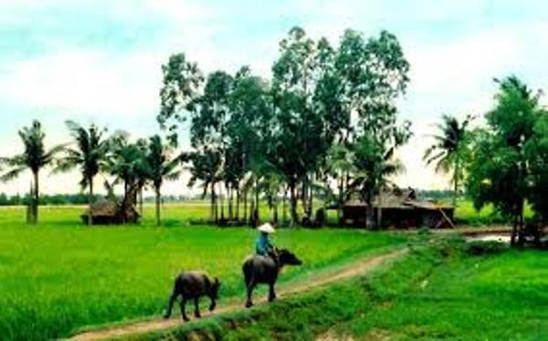 **Truyện Về Quê Hương: Tìm Về Ký Ức, Gửi Gắm Yêu Thương** **Truyện Về Quê Hương: Tìm Về Ký Ức, Gửi Gắm Yêu Thương**