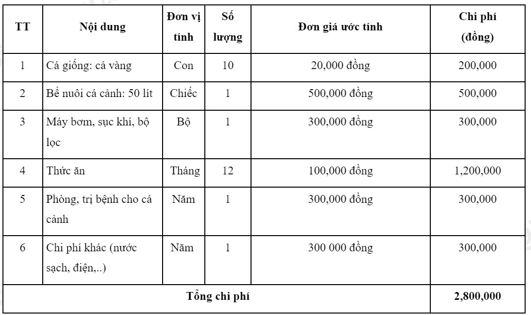 Lập Kế Hoạch Nuôi Cá Cảnh Chi Tiết: Từ Chọn Cá Đến Chi Phí Lập Kế Hoạch Nuôi Cá Cảnh Chi Tiết: Từ Chọn Cá Đến Chi Phí