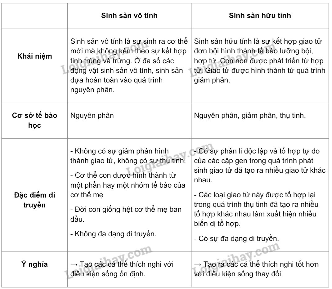 So Sánh Sinh Sản Vô Tính và Sinh Sản Hữu Tính Ở Động Vật: Chi Tiết A-Z So Sánh Sinh Sản Vô Tính và Sinh Sản Hữu Tính Ở Động Vật: Chi Tiết A-Z