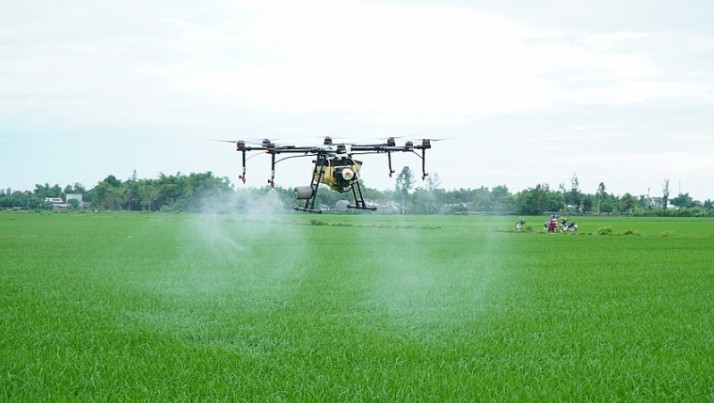 Trong Công Tác Phòng Trừ Dịch Hại Cây Trồng Ưu Điểm Của Biện Pháp Hóa Học Là Gì? Trong Công Tác Phòng Trừ Dịch Hại Cây Trồng Ưu Điểm Của Biện Pháp Hóa Học Là Gì?