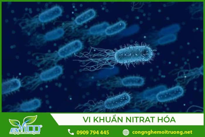 Một Xe Chạy Liên Tục Trong 2.5 Giờ: Tính Toán Quãng Đường Đi Được?