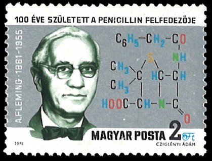 Alexander Fleming Khám Phá Penicillin Nhận Giải Nobel Năm 1945 Như Thế Nào? Alexander Fleming Khám Phá Penicillin Nhận Giải Nobel Năm 1945 Như Thế Nào?