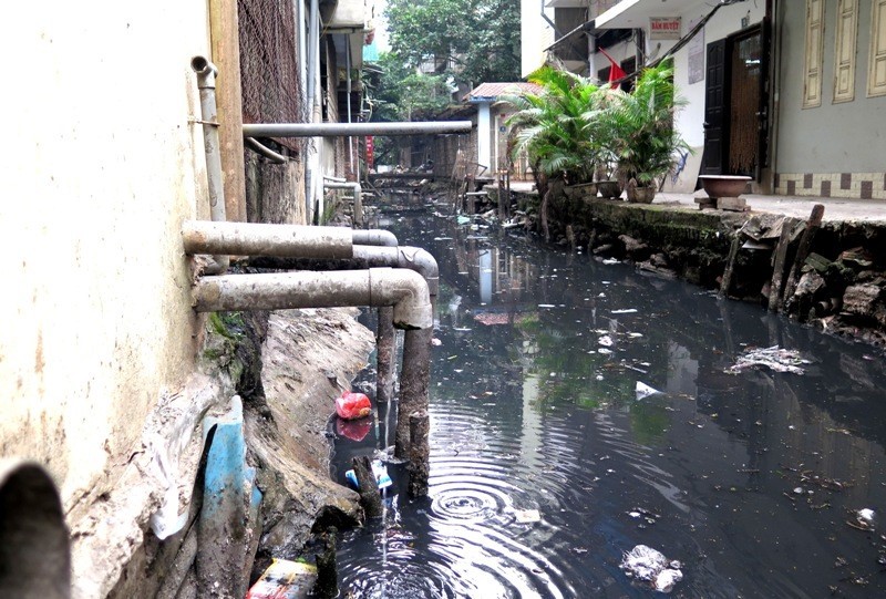 Nước thải sinh hoạt chưa xử lý