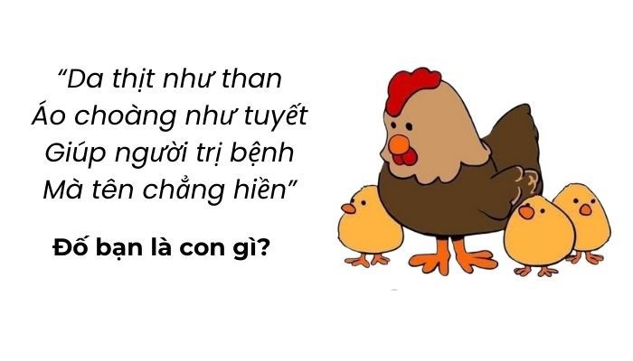 Vuông Vuông Cửa Đóng Hai Đầu: Giải Mã Câu Đố Vui Hại Não Và Hơn Thế Nữa! Vuông Vuông Cửa Đóng Hai Đầu: Giải Mã Câu Đố Vui Hại Não Và Hơn Thế Nữa!